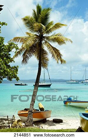 Boats Near The Fishermen Village In Mustique Island, St Vincent And The Grenadines, West Indies View Large Photo Image Stock Image - Boats Near The Fishermen Village In Mustique Island, St Vincent And The Grenadines, West Indies. Fotosearch