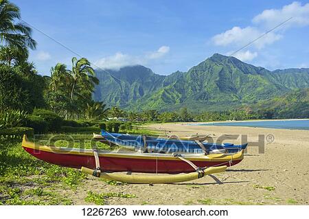 Boats on the beach with mountains in the background, Hanalei Bay; Kauai, Hawaii, United States of America View Large Photo Image Stock Image - Boats on the beach with mountains in the background, Hanalei Bay; Kauai, Hawaii, United States of America. Fotosearch
