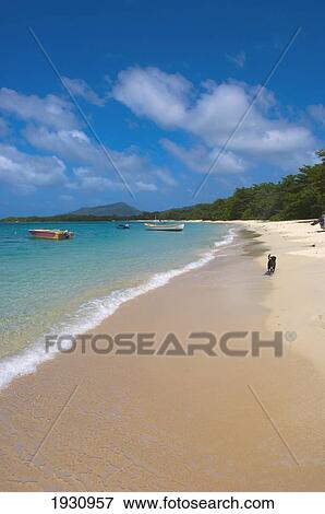 Boats On The Blue Waters Of Paradise Beach, Carriacou Islands; Grenada, Caribbean View Large Photo Image Stock Photo - Boats On The Blue Waters Of Paradise Beach, Carriacou Islands; Grenada, Caribbean. Fotosearch