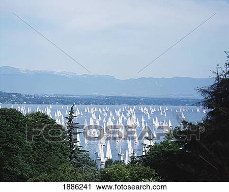 Stock Image - Bol D'or Sailing Regatta On Lake Leman. Fotosearch
