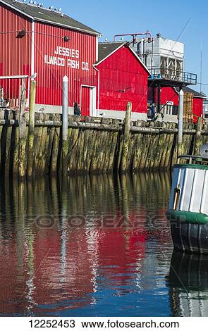 Bold colour abounds at the Port of Ilwaco; Ilwaco, Washington, United States of America View Large Photo Image Stock Image - Bold colour abounds at the Port of Ilwaco; Ilwaco, Washington, United States of America. Fotosearch