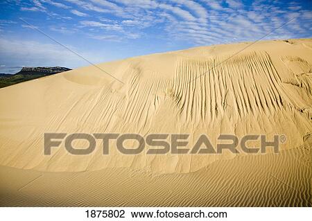Bolonia, Andalusia, Spain; Sand Dunes View Large Photo Image Stock Image - Bolonia, Andalusia, Spain; Sand Dunes. Fotosearch
