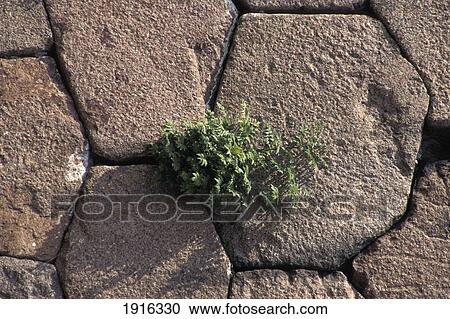 Stock Image - Bomarsund Fortress. Fotosearch