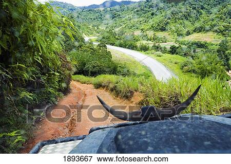 Bonnet Of Land Rover On Dirt Road Through Jungle View Large Photo Image Stock Photo - Bonnet Of Land Rover On Dirt Road Through Jungle. Fotosearch