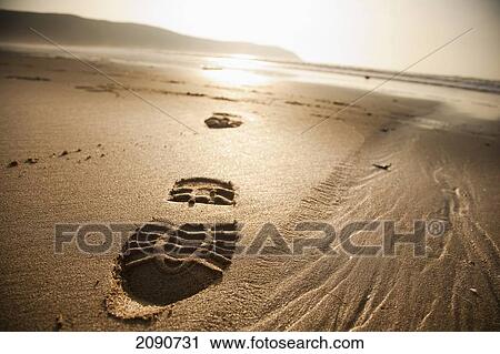 Stock Image - Boot Prints In The Sand At Putsborough Sands, North Devon, Uk. Fotosearch