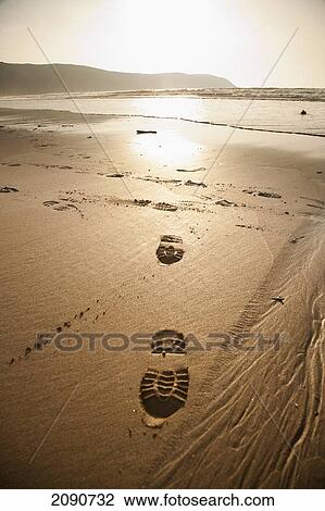 Stock Image - Boot Prints In The Sand At Putsborough Sands, North Devon, Uk. Fotosearch