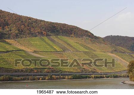 Stock Photo - Boppard-Hamm Vineyards, As Seen From The Rhine River, Rhineland-Palatinate, Germany. Fotosearch