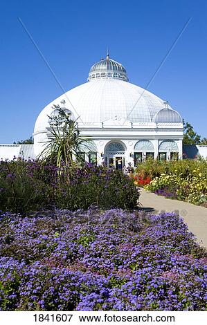 Stock Photo - Botanical Gardens; Buffalo, New York State, Usa. Fotosearch