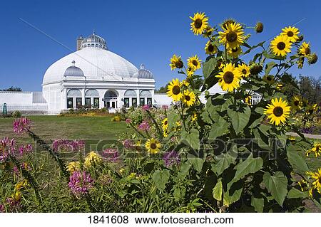 Botanical Gardens; Buffalo, New York State, Usa View Large Photo Image Stock Photo - Botanical Gardens; Buffalo, New York State, Usa. Fotosearch