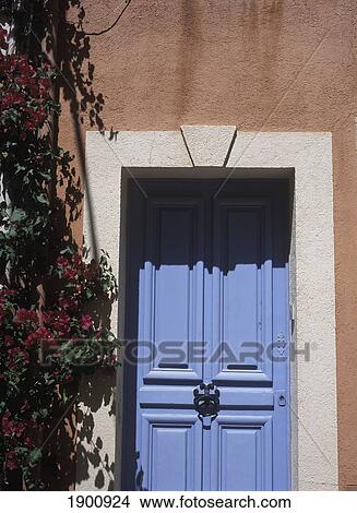 Picture - Bougainvillea Growing Beside Doorway Of House, St Tropez, France; St Tropez, France.. Fotosearch