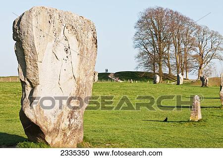 Stock Image - Boulder From Neolithic Henge; Avebury, Wiltshire, England, Uk. Fotosearch