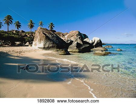 Boulders And Palm Trees On Tropical Beach View Large Photo Image Stock Photo - Boulders And Palm Trees On Tropical Beach. Fotosearch