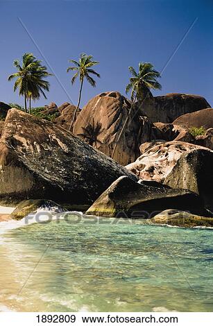 Stock Photo - Boulders And Palm Trees On Tropical Beach. Fotosearch