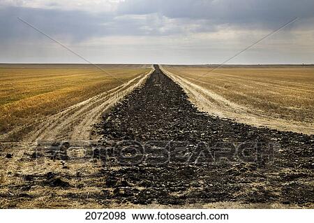 Stock Photo - Boundary Between Two Farmer's Fields, Rural Saskatchewan. Fotosearch