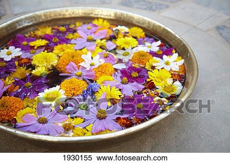 Stock Photography - Bowl of flowers at Castle Bijaipur Rajasthan India. Fotosearch