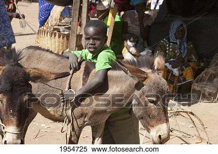 Boy and donkey at the Monday Market in Djenne, Mali View Large Photo Image Stock Photography - Boy and donkey at the Monday Market in Djenne, Mali. Fotosearch