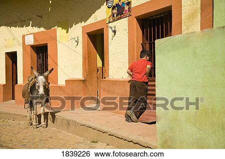 Stock Photograph - Boy And Donkey On Small Town Street; Copala, Sinaloa, Mexico. Fotosearch