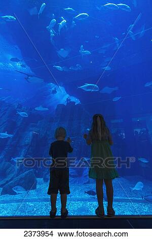 Picture - Boy and girl looking into the massive aquarium in the Dubai Mall; Dubai, United Arab Emirates. Fotosearch