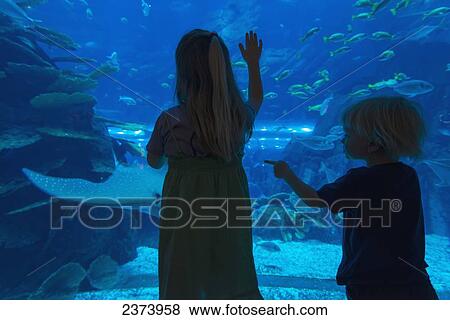 Stock Photo - Boy and girl looking into the massive aquarium in the Dubai Mall; Dubai, United Arab Emirates. Fotosearch