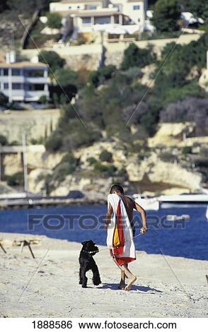Boy And His Dog Playing On The Beach View Large Photo Image Stock Photograph - Boy And His Dog Playing On The Beach. Fotosearch