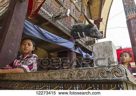 Stock Photography - Boy at a Torajan funeral ceremony in Sereale, Toraja Land, South Sulawesi, Indonesia. Fotosearch