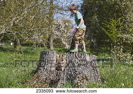 Stock Image - Boy Climbing On Old Stump In Country Park; Kent, England, Uk. Fotosearch