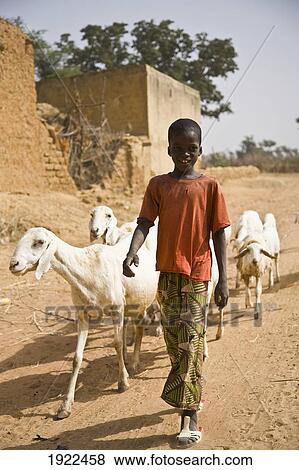 Stock Photo - Boy Herding Goats. Fotosearch