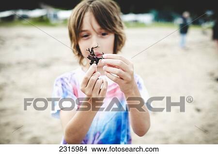 Boy In A Tie-Dyed T-Shirt Holding Small Piece Of Seaweed On A Beach; Saint-Simeon Quebec Canada View Large Photo Image Picture - Boy In A Tie-Dyed T-Shirt Holding Small Piece Of Seaweed On A Beach; Saint-Simeon Quebec Canada. Fotosearch