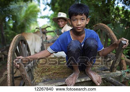 Boy in the back of an ox cart going to the fields; Battambang, Cambodia View Large Photo Image Stock Image - Boy in the back of an ox cart going to the fields; Battambang, Cambodia. Fotosearch