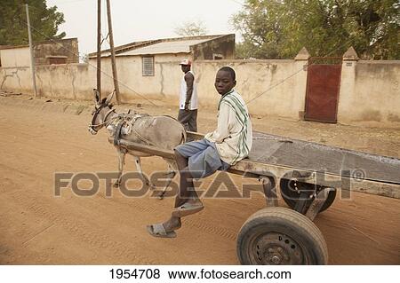 Boy on a donkey cart in Segou, Mali View Large Photo Image Stock Photo - Boy on a donkey cart in Segou, Mali. Fotosearch
