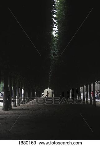 Stock Photo - Boy playing football in the gardens of Palais Royale; Paris, France. Fotosearch