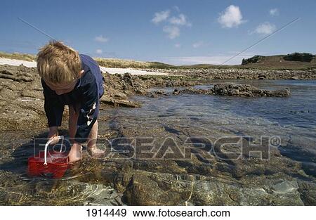 Stock Photo - Boy Scooping Water In Bucket. Fotosearch