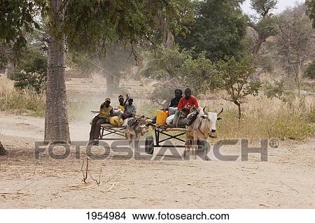 Picture - Boys on a cart in Amani, Dogon Lands, Mali. Fotosearch