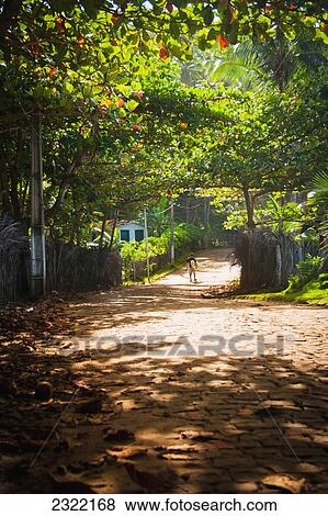 Brazil, Bahia, Itacare, Cobblestone path leading to Itacare beaches View Large Photo Image Stock Photo - Brazil, Bahia, Itacare, Cobblestone path leading to Itacare beaches. Fotosearch