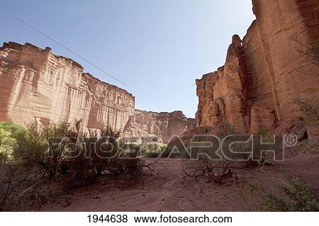 Stock Photo - Brea trees in Talampaya Canyon, Talampaya National Park, La Rioja, Argentina. Fotosearch