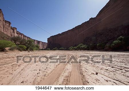 Stock Photo - Brea trees in Talampaya Canyon, Talampaya National Park, La Rioja, Argentina. Fotosearch