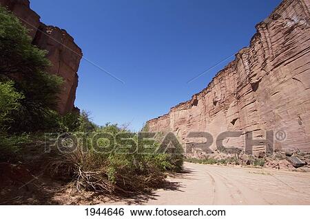 Stock Photograph - Brea trees in Talampaya Canyon, Talampaya National Park, La Rioja, Argentina. Fotosearch