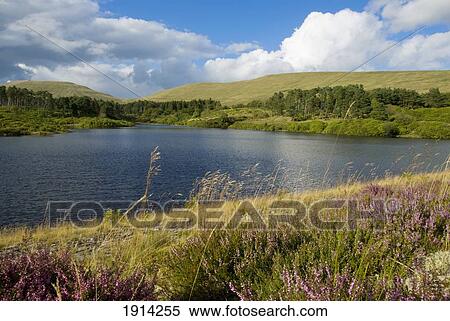 Brecon Beacons Neuadd Reservoir View Large Photo Image Stock Photography - Brecon Beacons Neuadd Reservoir. Fotosearch
