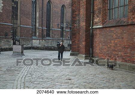 Stock Image - Bremer Stadtmusikanten, Riga, Latvia. Fotosearch