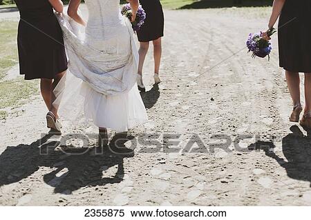 Stock Photography - Bride Walking Dirt Path With Her Bridesmaids; Pemberton, British Columbia, Canada. Fotosearch