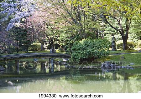 Bridge In Nitobe Memorial Garden, A Traditional Japanese Garden Located At The University Of British Columbia, Vancouver, British Columbia, Canada View Large Photo Image Stock Image - Bridge In Nitobe Memorial Garden, A Traditional Japanese Garden Located At The University Of British Columbia, Vancouver, British Columbia, Canada. Fotosearch
