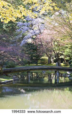 Stock Image - Bridge In Nitobe Memorial Garden, A Traditional Japanese Garden Located At The University Of British Columbia, Vancouver, British Columbia, Canada. Fotosearch