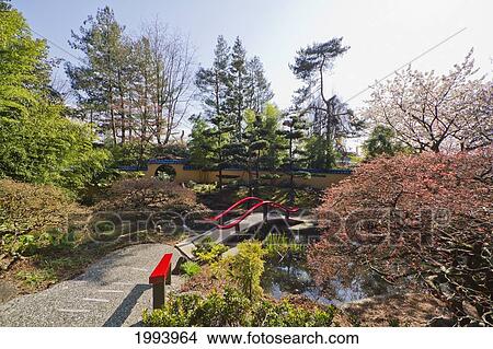 Bridge Over The Pond In The Oriental Garden Of Park & Tilford Gardens, North Vancouver, British Columbia, Canada View Large Photo Image Picture - Bridge Over The Pond In The Oriental Garden Of Park & Tilford Gardens, North Vancouver, British Columbia, Canada. Fotosearch