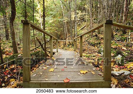 Stock Image - Bridge Path Through Autumn Trees, Trois-Pistoles, Bas-Saint-Laurent Region, Quebec. Fotosearch