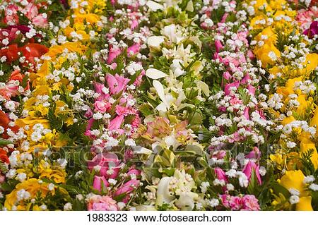 Bright Flower Leis In Colorful Lines. View Large Photo Image Stock Image - Bright Flower Leis In Colorful Lines.. Fotosearch