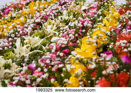 Stock Photography - Bright Flower Leis In Colorful Lines.. Fotosearch