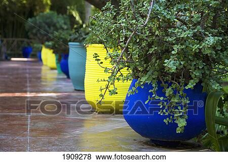 Stock Photo - Brightly Colored Pots In Majorelle Gardens, Marrakesh, Morocco. Fotosearch