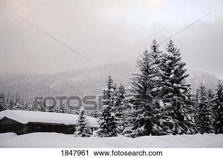 British Columbia, Canada; Snow-Covered Rest Stop View Large Photo Image Stock Image - British Columbia, Canada; Snow-Covered Rest Stop. Fotosearch