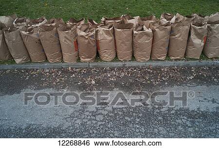 Brown bags full of fall leaves line a street, Burlington, Vermont, USA View Large Photo Image Stock Photograph - Brown bags full of fall leaves line a street, Burlington, Vermont, USA. Fotosearch