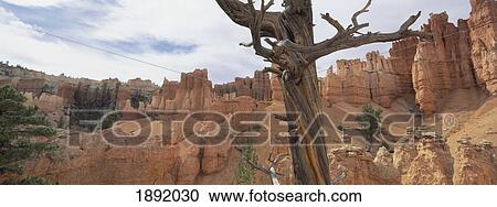 Bryce Canyon, Utah, Usa View Large Photo Image Stock Image - Bryce Canyon, Utah, Usa. Fotosearch